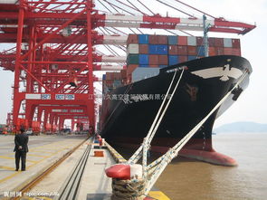 專業高架、龍門及碼頭吊車防腐服務 全面防護與價值解析