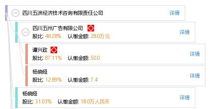 四川五洲經(jīng)濟(jì)技術(shù)咨詢(xún)有限責(zé)任公司 專(zhuān)業(yè)優(yōu)勢(shì)與技術(shù)咨詢(xún)服務(wù)