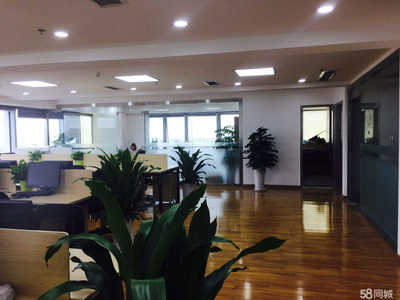 成都信城錦蓉 以專業(yè)商務(wù)咨詢助力企業(yè)精準(zhǔn)決策
